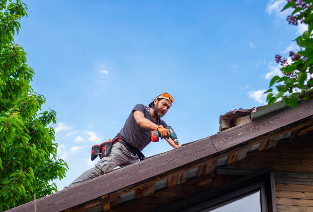 Best Asphalt Shingle Roofing  in Mcarthur, OH